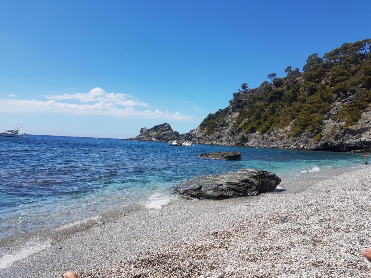 Villa Des 2 Geais Les Playes Екстериор снимка